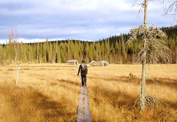 Parc National de Riisitunturi