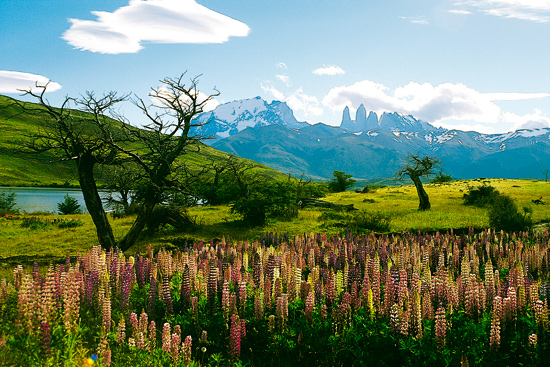 Patagonie, bout du monde