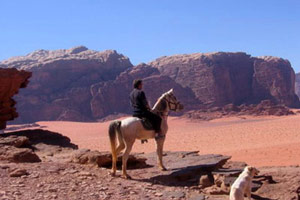 Pétra à cheval