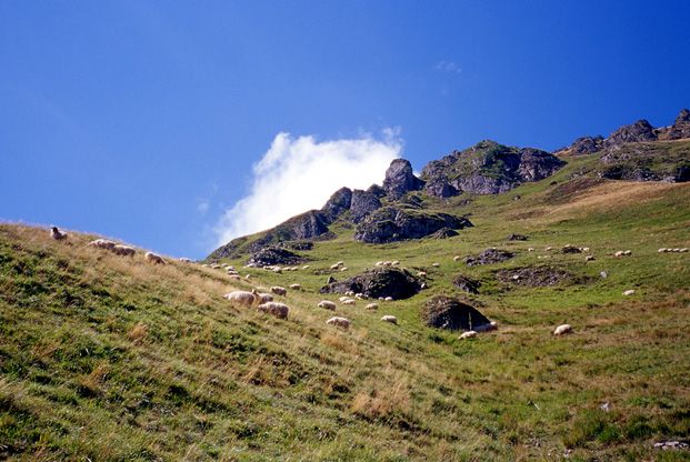 PAYS-BASQUE, du piémont au Pic d’Orhy