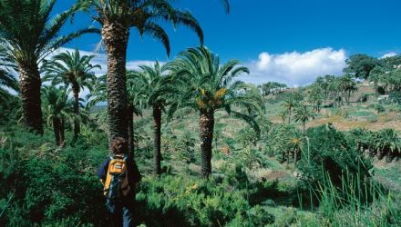 Pirates des Canaries
