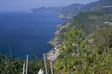 PORTOFINO ET CINQUETERRE