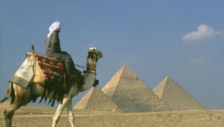 Pyramides, champignons et dromadaires : étonnant désert Blanc !
