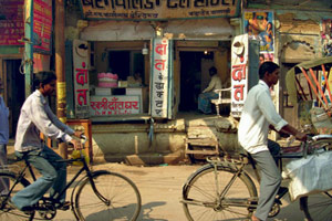 Rajasthan : désert et villes de prestige