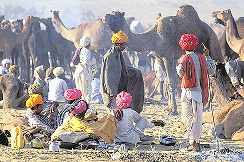 Rajasthan : festival de Pushkar
