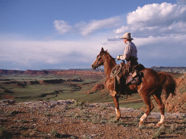 Ranch, cowboy et néon