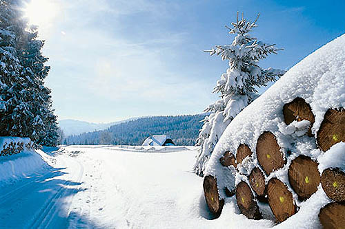 Rando blanche en Forêt Noire