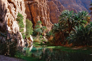 Rando en Arabie heureuse