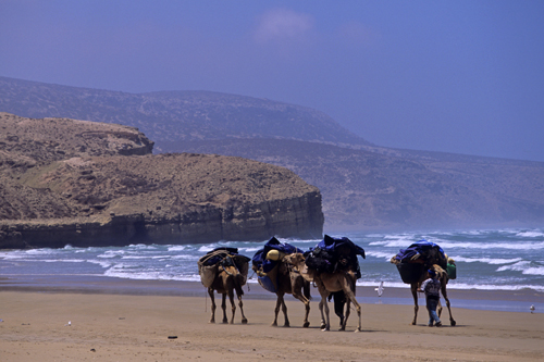 Rando forme sur les rivages atlantiques