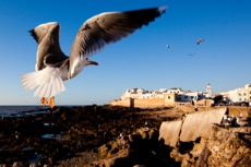 RANDO BIEN-ETRE A ESSAOUIRA