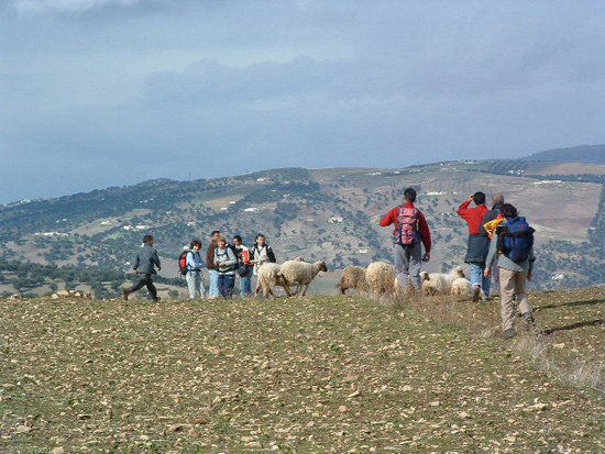 Randonnée balnéothérapie, région de Fès