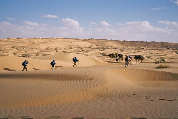 Randonnée chamelière au pays d'El Wilya.