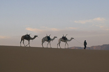 Randonnée chamelière dans l'Ahnet et la tassili oubliée du Timeskis