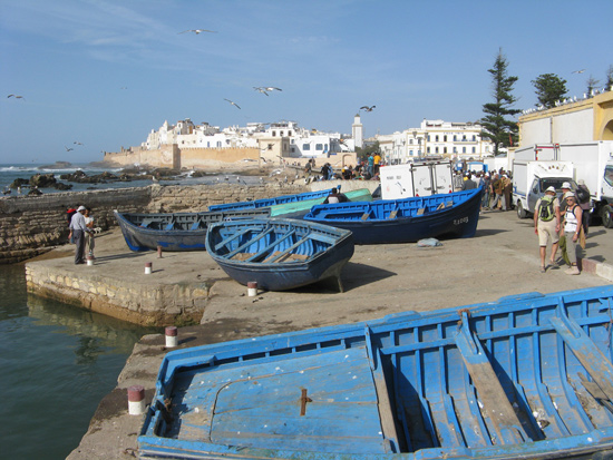 Randonnée et bien-être à Essaouira