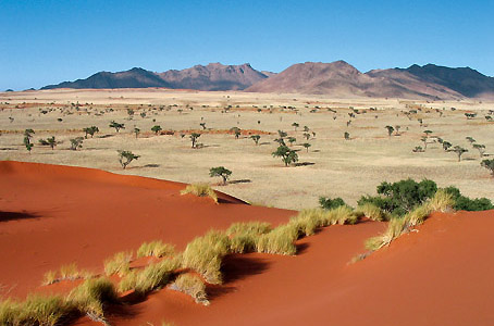 Randonnée Namib - Kuiseb
