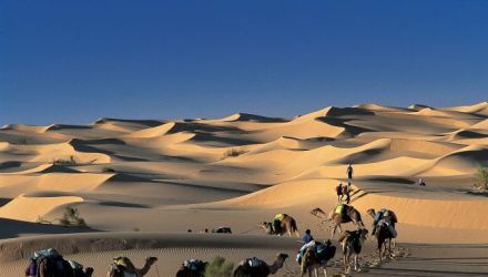 Randonnées dunes et oasis