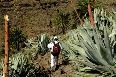 Randonnée sur La Gomera