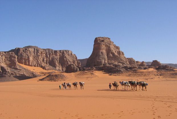 Randonn&eacute;e chameli&eacute;re dans les Tassilis du Hoggar.
&nbsp;