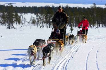 Randonnée en chiens de traineau