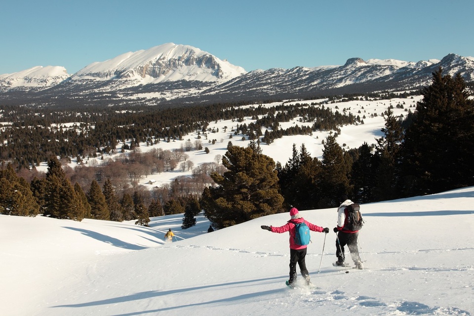 Randonnée raquettes dans le Vercors