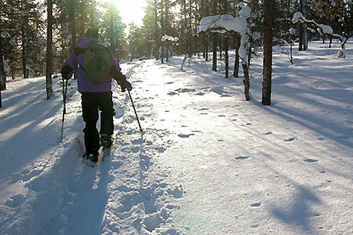 Réveillon au centre de montagne Kiilopää