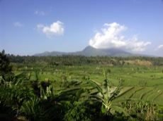RIZIERES ET VOLCANS DE BALI