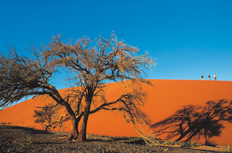 Safari et randonnée