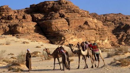 Sinaï : montagnes bibliques et mer Rouge