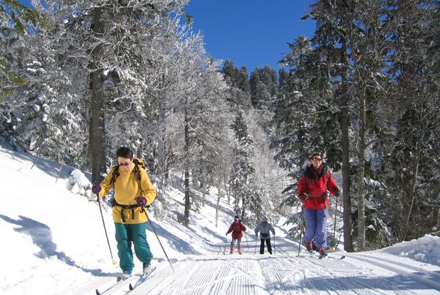 Ski de Fond Balades en Vercors
