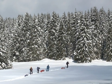 Ski de randonnée nordique en video