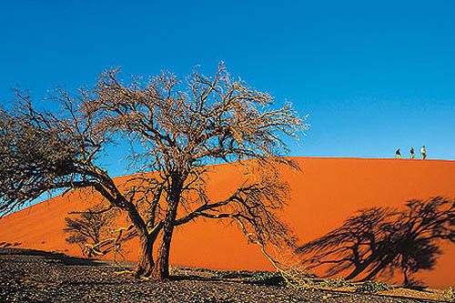 Splendeurs de Namibie