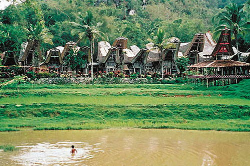 Sulawesi, en Pays toraja