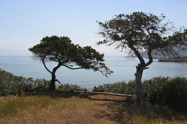 Sur les chemins d'Aphrodite?