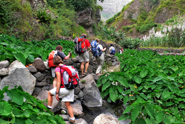 sur les chemins du m&eacute;tissage
&nbsp;