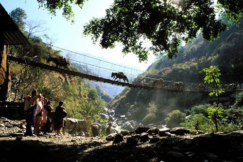 Sur les traces du Yéti
