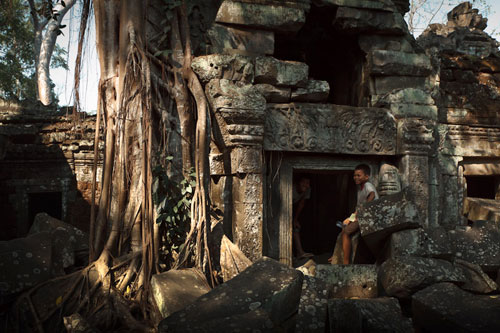 Temples et cocotiers