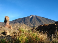 TENERIFE IDYLLIQUE - LIBERTE