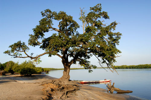 Terres marines du Sénégal