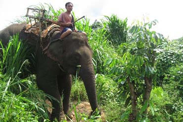 Thaïlande express