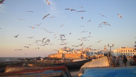 Thalasso rando à Essaouira