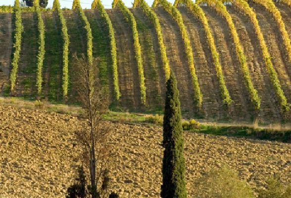 Toscane, bon vin et repos au moulin