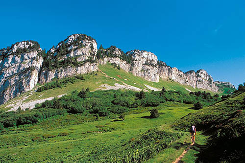 Tour du Parc Naturel de Chartreuse (en hôtel)