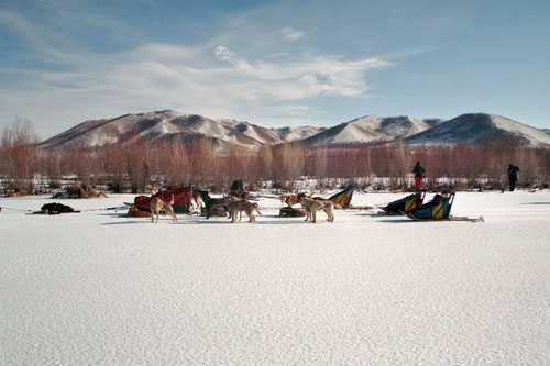 Traîneau en terre mongole Noël et Jour de l'an
