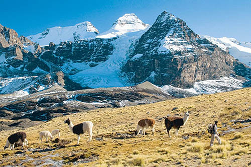 Traversée de la cordillère Royale et Uyuni