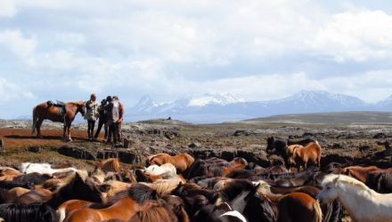 Traversée de l'Islande par le piste de Kjolur
