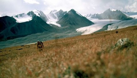 Trekking dans l'Altaï