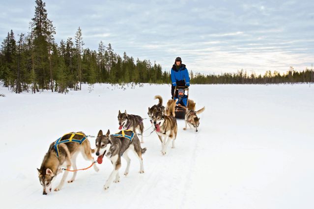 Un hiver chez les Saami