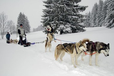 Un hiver complètement givré !