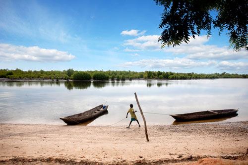 Vie sauvage dans le delta du Siné Saloum