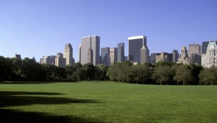 Vivre New York !